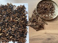 IMG_3687.jpeg IMG_3687.jpeg