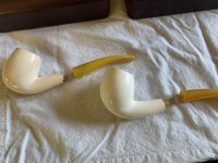 IMG_5407.jpeg IMG_5407.jpeg