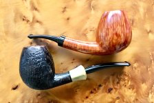 IMG_5391.jpeg IMG_5391.jpeg