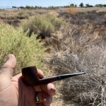 IMG_4310.jpeg IMG_4310.jpeg