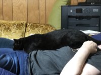 AbnerLaysonWife.jpg AbnerLaysonWife.jpg