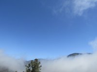 4.25.25 morning fog.jpg 4.25.25 morning fog.jpg