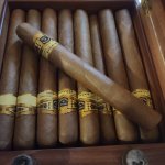 20250428_140928.jpg 20250428_140928.jpg