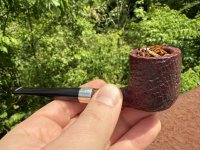 IMG_7019 Large.jpeg IMG_7019 Large.jpeg