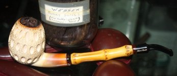 F Baki 2010 Wessex BS.JPG