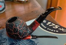 1746258277647.jpeg 1746258277647.jpeg