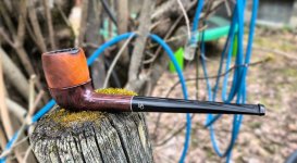 5 May 2025.jpg 5 May 2025.jpg