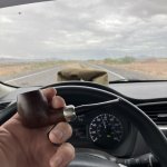 IMG_4463.jpeg IMG_4463.jpeg