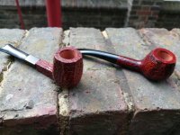 IMG_20250508_144226.jpg IMG_20250508_144226.jpg