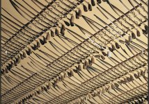 IMG_0077.jpeg IMG_0077.jpeg