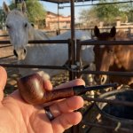 IMG_4508.jpeg IMG_4508.jpeg