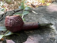 IMG_6850.jpeg IMG_6850.jpeg