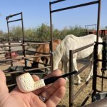 IMG_4573.jpeg IMG_4573.jpeg