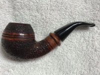 Ser_Jacopo_DelectaR1_rhodesian.jpg Ser_Jacopo_DelectaR1_rhodesian.jpg