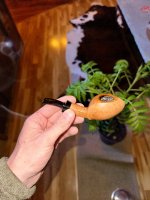 IMG_8151.jpeg IMG_8151.jpeg