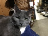 SuzyContent.jpg SuzyContent.jpg