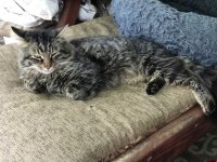 HarryLounge3.jpg HarryLounge3.jpg