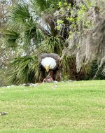 IMG_2422.jpeg IMG_2422.jpeg