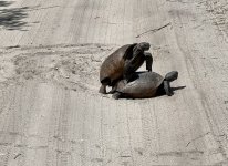 IMG_1219.jpeg IMG_1219.jpeg