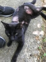 AbnerFeetHappy2.jpg AbnerFeetHappy2.jpg