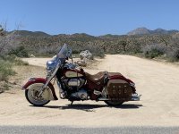 IMG_2695.jpeg IMG_2695.jpeg