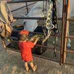 IMG_4672.jpeg IMG_4672.jpeg