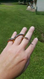 1000001546.jpg 1000001546.jpg