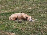 20250510_142058.jpg 20250510_142058.jpg