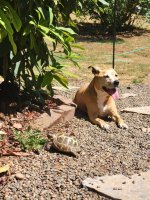 20240726_122147.jpg 20240726_122147.jpg