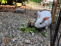 20240901_152109.jpg 20240901_152109.jpg