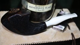 Albin Panel University Flk.JPG