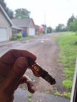 1000009789.jpg 1000009789.jpg