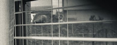 1750083675466.jpeg 1750083675466.jpeg