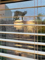 1750084054591.jpeg 1750084054591.jpeg