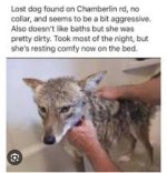 1000006440.jpg 1000006440.jpg