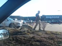 1000000331.jpg 1000000331.jpg