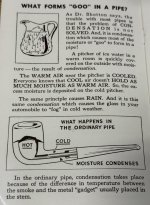 IMG_1590.jpeg IMG_1590.jpeg