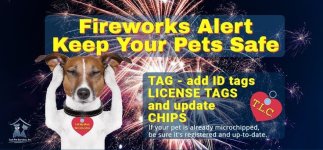 k9 4th (2).jpg k9 4th (2).jpg