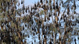 imengine.public.prod.mmg.navigacloud.com.jpeg imengine.public.prod.mmg.navigacloud.com.jpeg