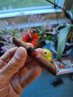 1000010033.jpg 1000010033.jpg