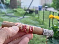 1000010085.jpg 1000010085.jpg