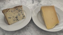 IMG_9662.jpeg IMG_9662.jpeg