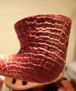 1000000293.jpg 1000000293.jpg