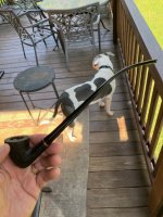 IMG_3418.jpg IMG_3418.jpg