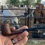 IMG_5161.jpeg IMG_5161.jpeg