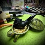 IMG_5055.jpeg IMG_5055.jpeg