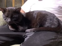 AbnerLapFull2.jpg AbnerLapFull2.jpg