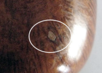 Screenshot 2025-07-08 at 6.01.38 PM.png Screenshot 2025-07-08 at 6.01.38 PM.png