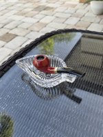 1000000797.jpg 1000000797.jpg