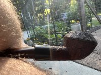 IMG_3509.jpeg IMG_3509.jpeg